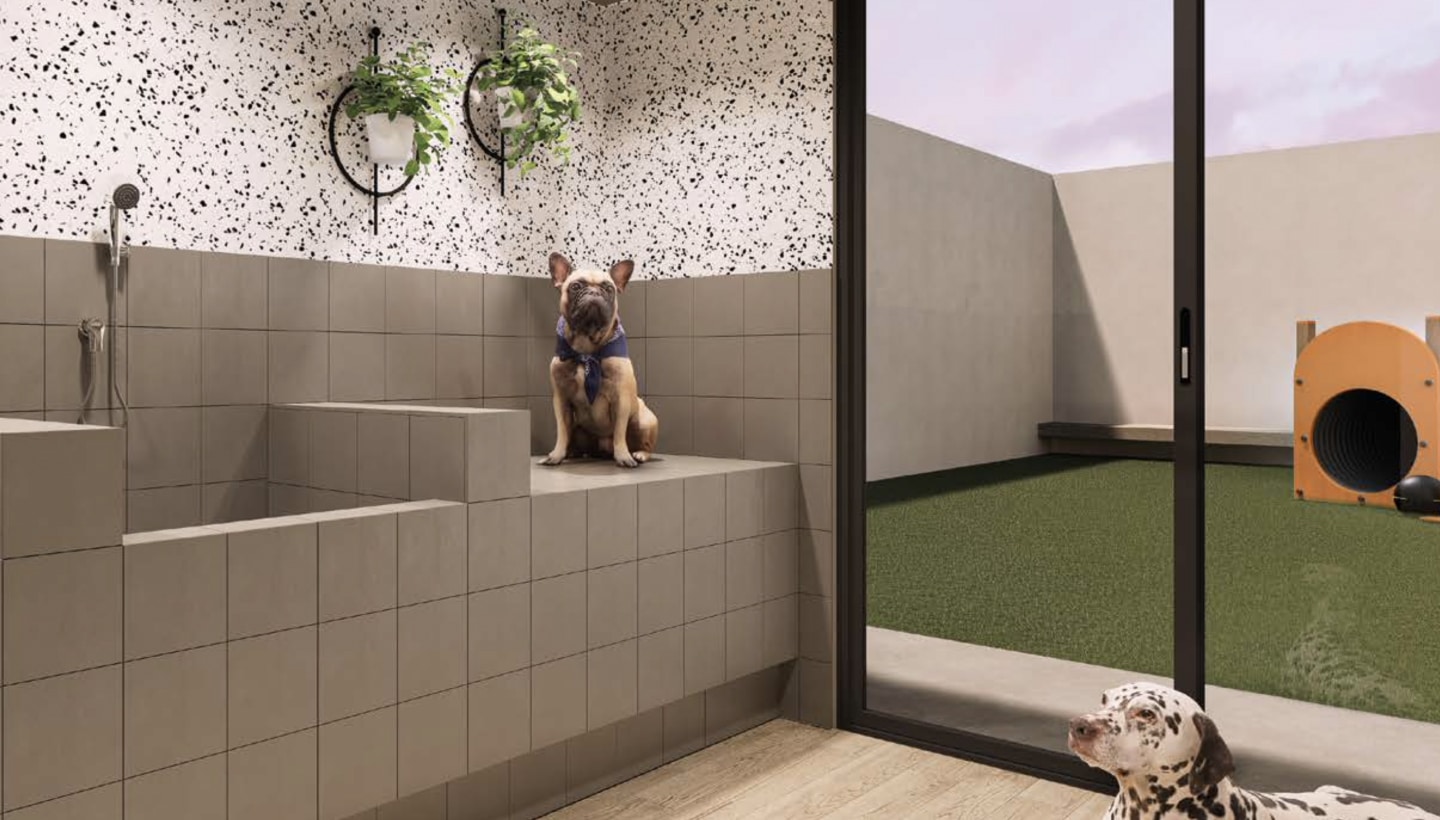 5 img gallery area comun x1