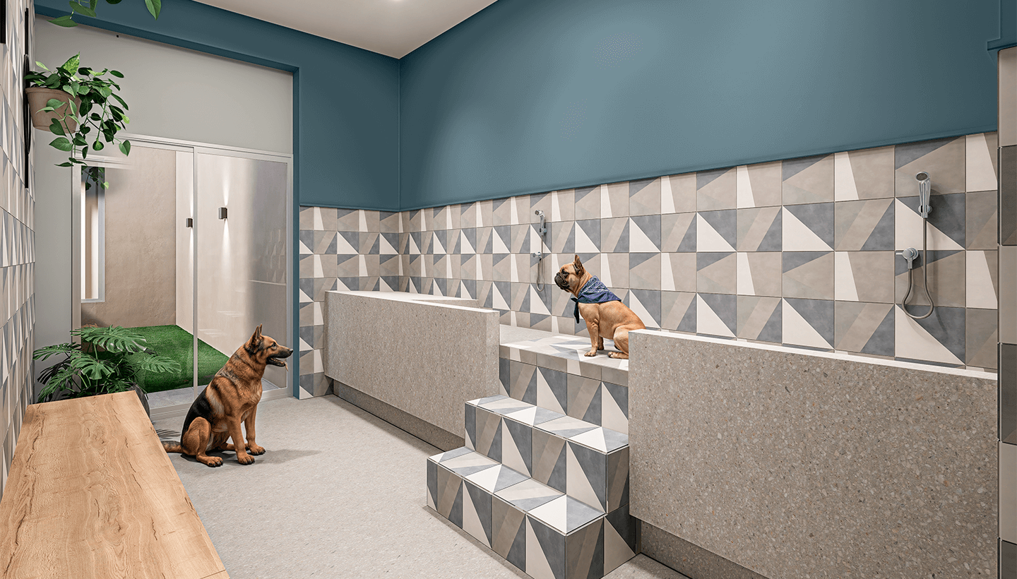 VISTAS-AREAS-COMUNES-PROYECTO-FIII-12